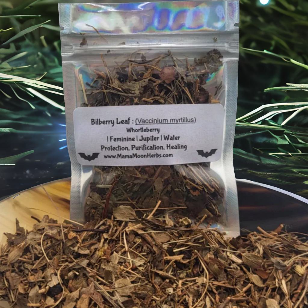 Dried Bilberry Leaf (Vaccinium myrtillus) in a 3x4 pouch. Used for psychic vision, dreamwork, and spiritual clarity. Ideal for spell jars, sachets, and moon rituals.