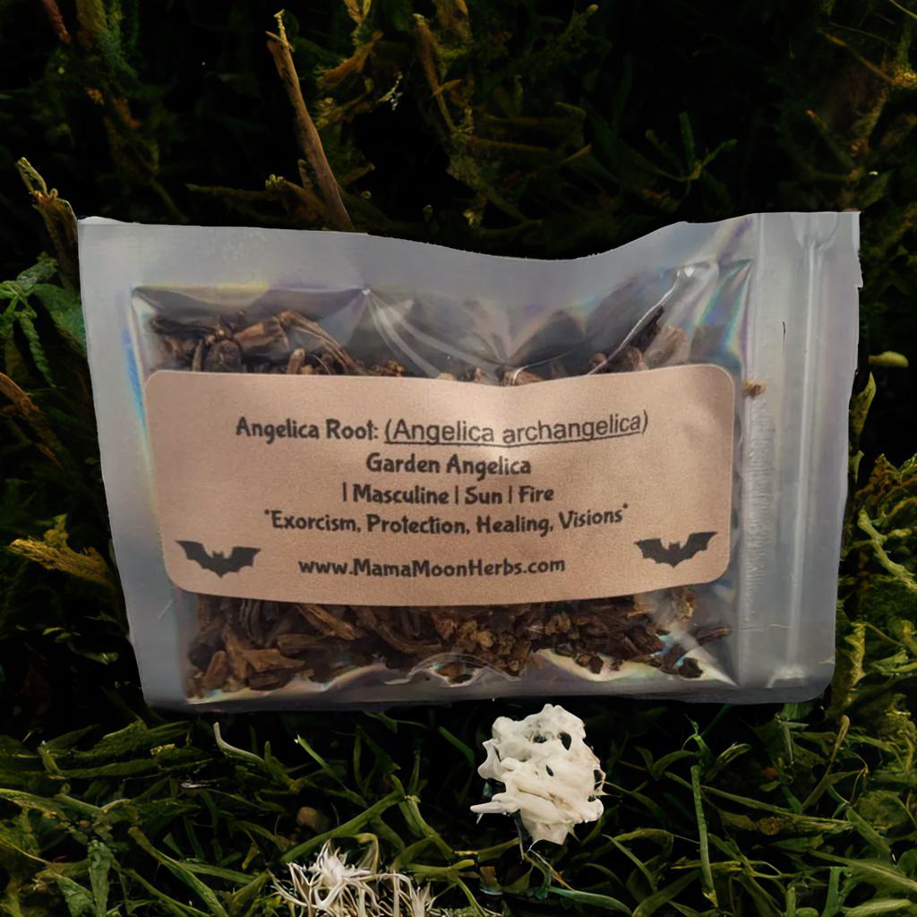 Dried Angelica Root (Angelica archangelica) in a 2.5" x 3.7" pouch. Used for protection, divine guidance, and healing rituals. Perfect for spell jars, sachets, and purification.