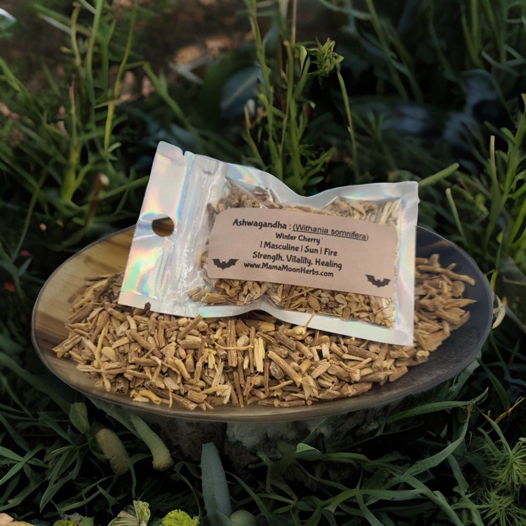 Dried Ashwagandha Root (Withania somnifera) in a 2.5" x 3.7" pouch. Used in rituals for strength, stamina, and fiery resilience. Ideal for solar magic, spell jars, and protection