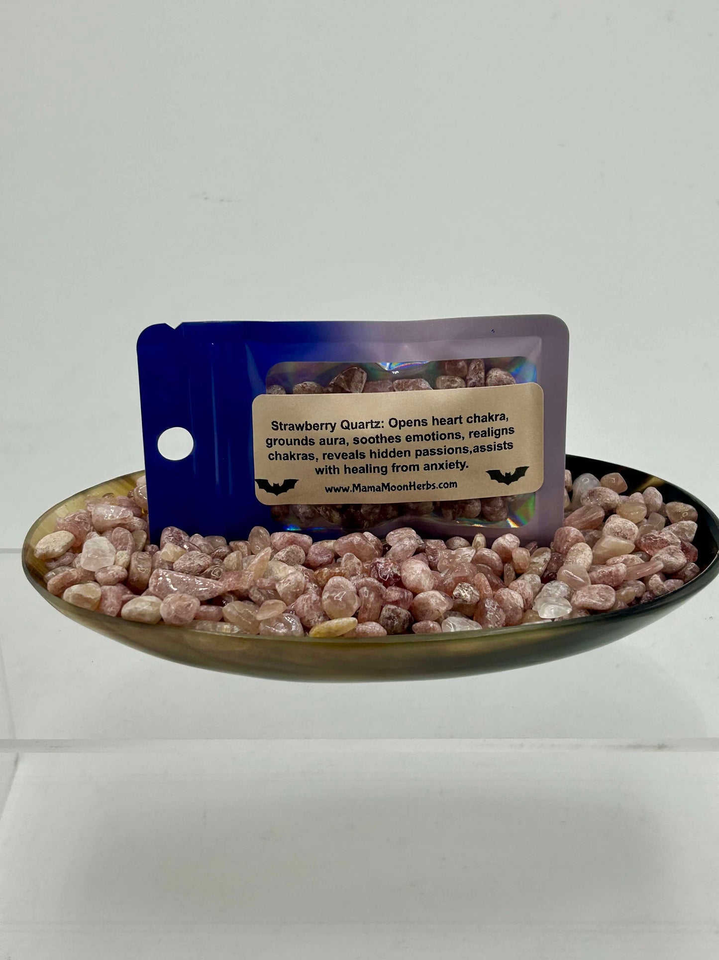 Rose of Jericho Resurrection Kit – A Living Symbol of Renewal