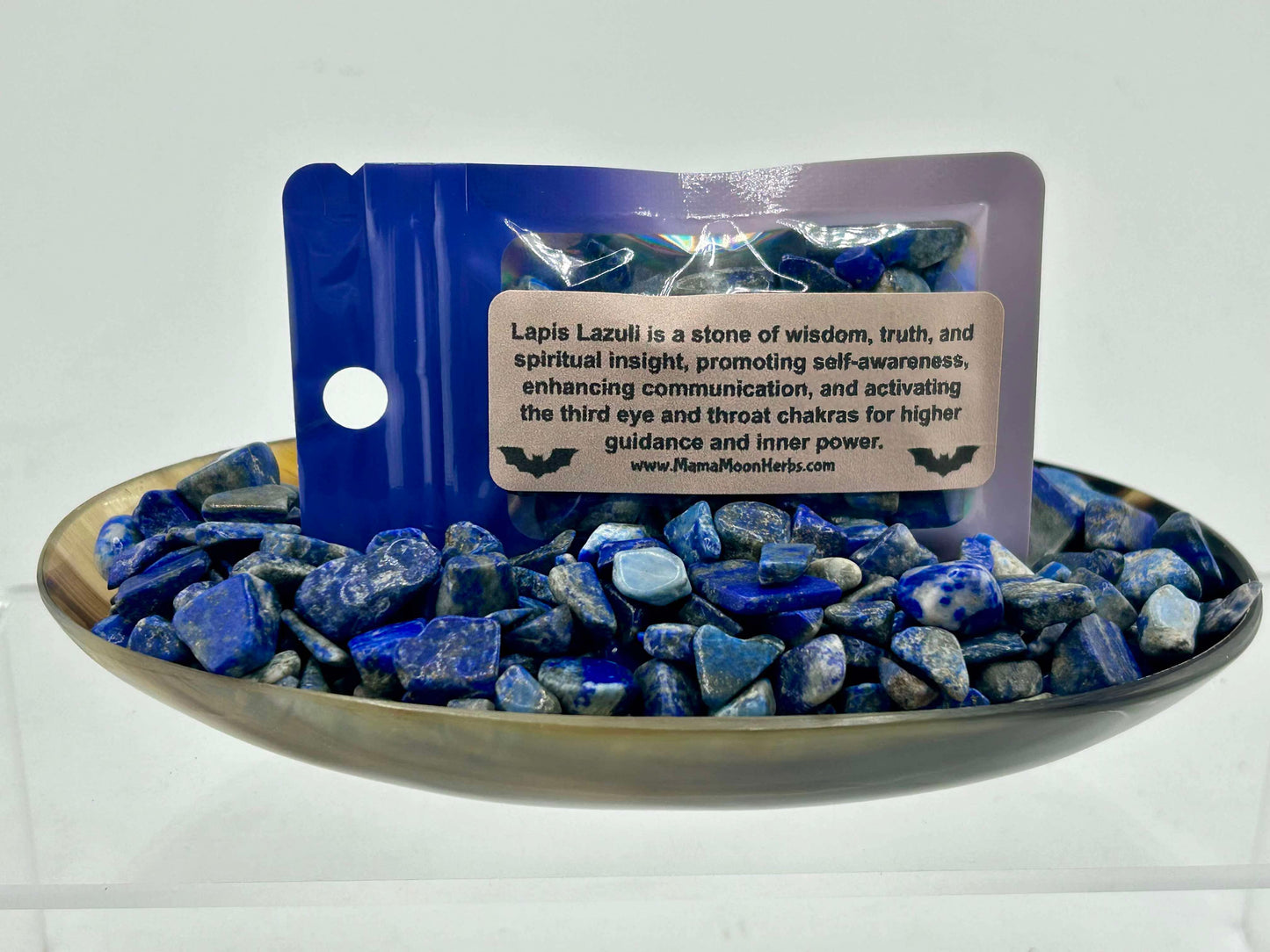 Rose of Jericho Resurrection Kit – A Living Symbol of Renewal