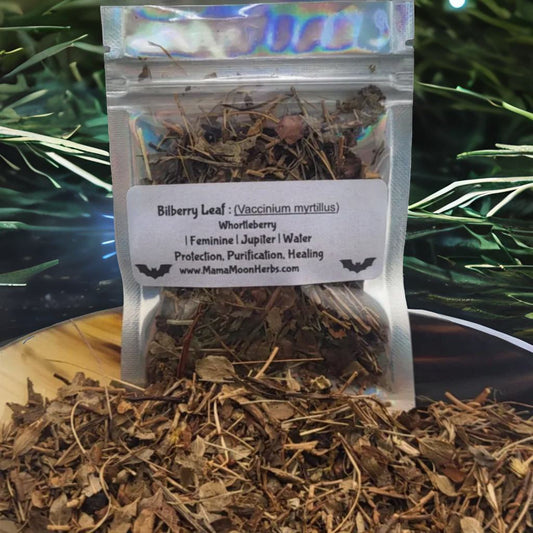 Dried Bilberry Leaf (Vaccinium myrtillus) in a 3x4 pouch. Used for psychic vision, dreamwork, and spiritual clarity. Ideal for spell jars, sachets, and moon rituals.

