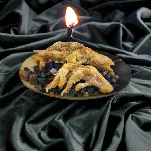 One dried chicken foot, ritually used for protection, hex-breaking, and warding in folk magic. Use in banishing rituals, mojo bags, or altar work.