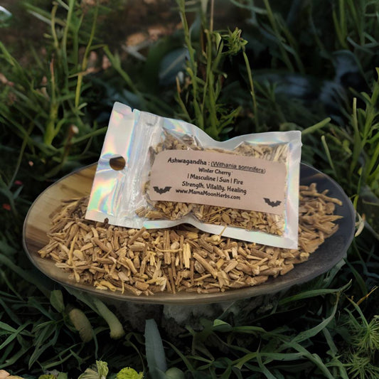 Dried Ashwagandha Root (Withania somnifera) in a 2.5" x 3.7" pouch. Used in rituals for strength, stamina, and fiery resilience. Ideal for solar magic, spell jars, and protection