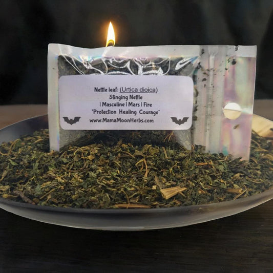 Dried Nettle Leaf (Urtica dioica) in a 2.5" x 3.7" pouch. Used for protection, uncrossing, and strength rituals. Ideal for defensive magic and boundary setting.