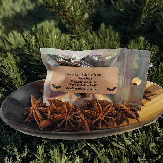 Star Anise (Illicium verum) in a small ritual pouch. Used for psychic awareness, luck, and protection. Ideal for dreamwork, divination, and spiritual insight rituals.