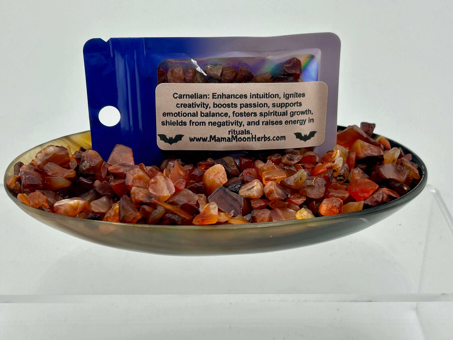 Rose of Jericho Resurrection Kit – A Living Symbol of Renewal