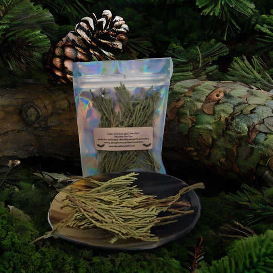 Dried Cedar (Cedrus spp.) in a 3" x 4" pouch. Used for spiritual cleansing, protection, and ancestral connection. Ideal for spell jars, incense, and ritual work.