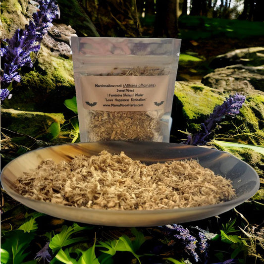 Dried Marshmallow Root (Althaea officinalis) in a 3x4 pouch. Use for emotional healing, spirit communication, and gentle protection. Perfect for ritual baths and spellwork.