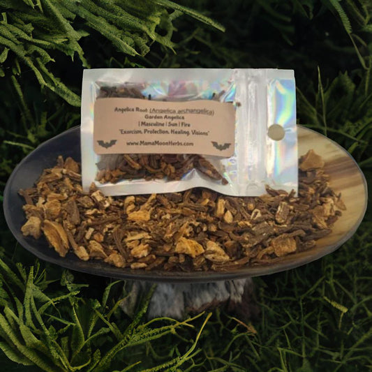 Dried Angelica Root (Angelica archangelica) in a 2.5" x 3.7" pouch. Used for protection, divine guidance, and healing rituals. Perfect for spell jars, sachets, and purification.