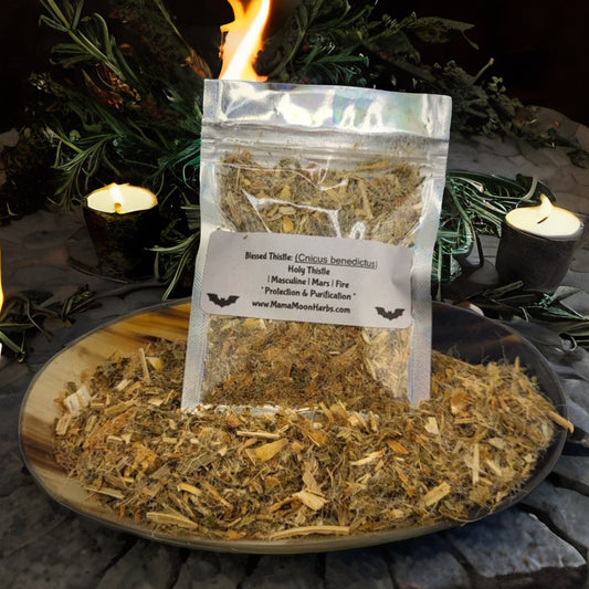 Dried Blessed Thistle (Cnicus benedictus) in a 3x4 pouch. Used in protection, purification, and banishing rituals. Ideal for charm bags, spell jars, and spiritual cleansing.

