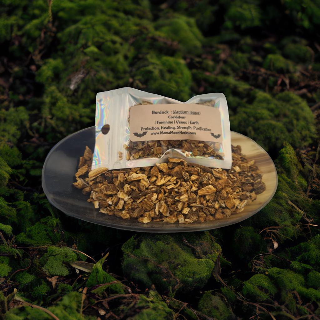 Dried Burdock Root (Arctium lappa) in a 2.5" x 3.7" pouch. Used for protection, grounding, and uncrossing rituals. Ideal for spell jars, floor washes, and charm bags.

