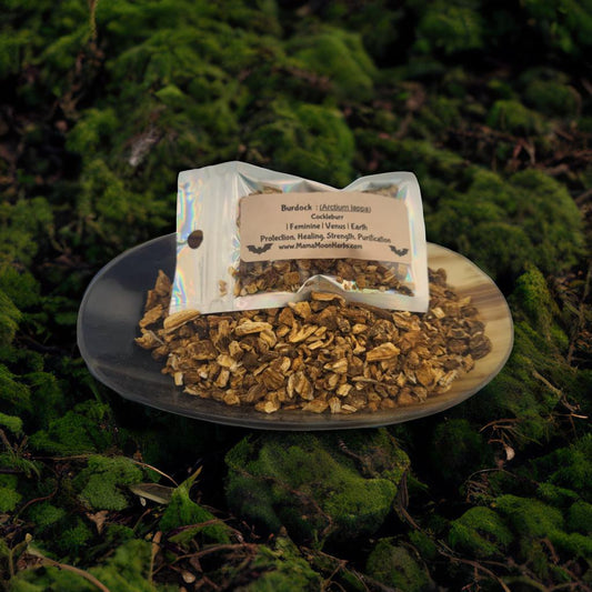 Dried Burdock Root (Arctium lappa) in a 2.5" x 3.7" pouch. Used for protection, grounding, and uncrossing rituals. Ideal for spell jars, floor washes, and charm bags.

